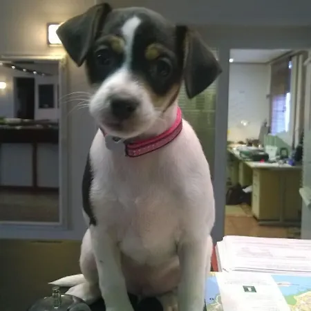 Ξενοδοχείο Sea Front Raseborg