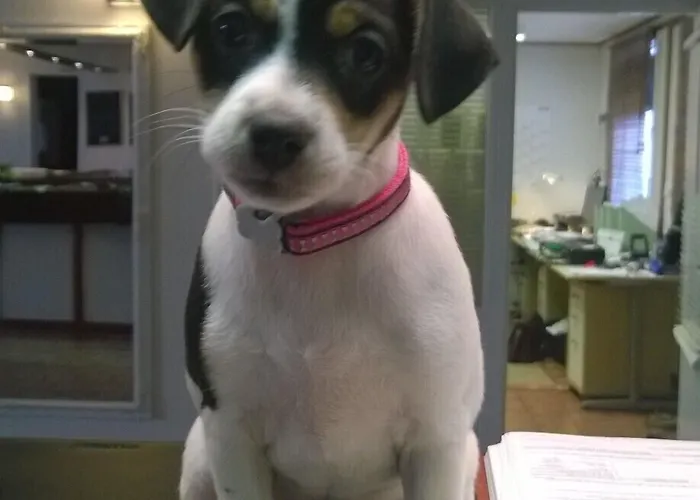 Otel Sea Front Raseborg